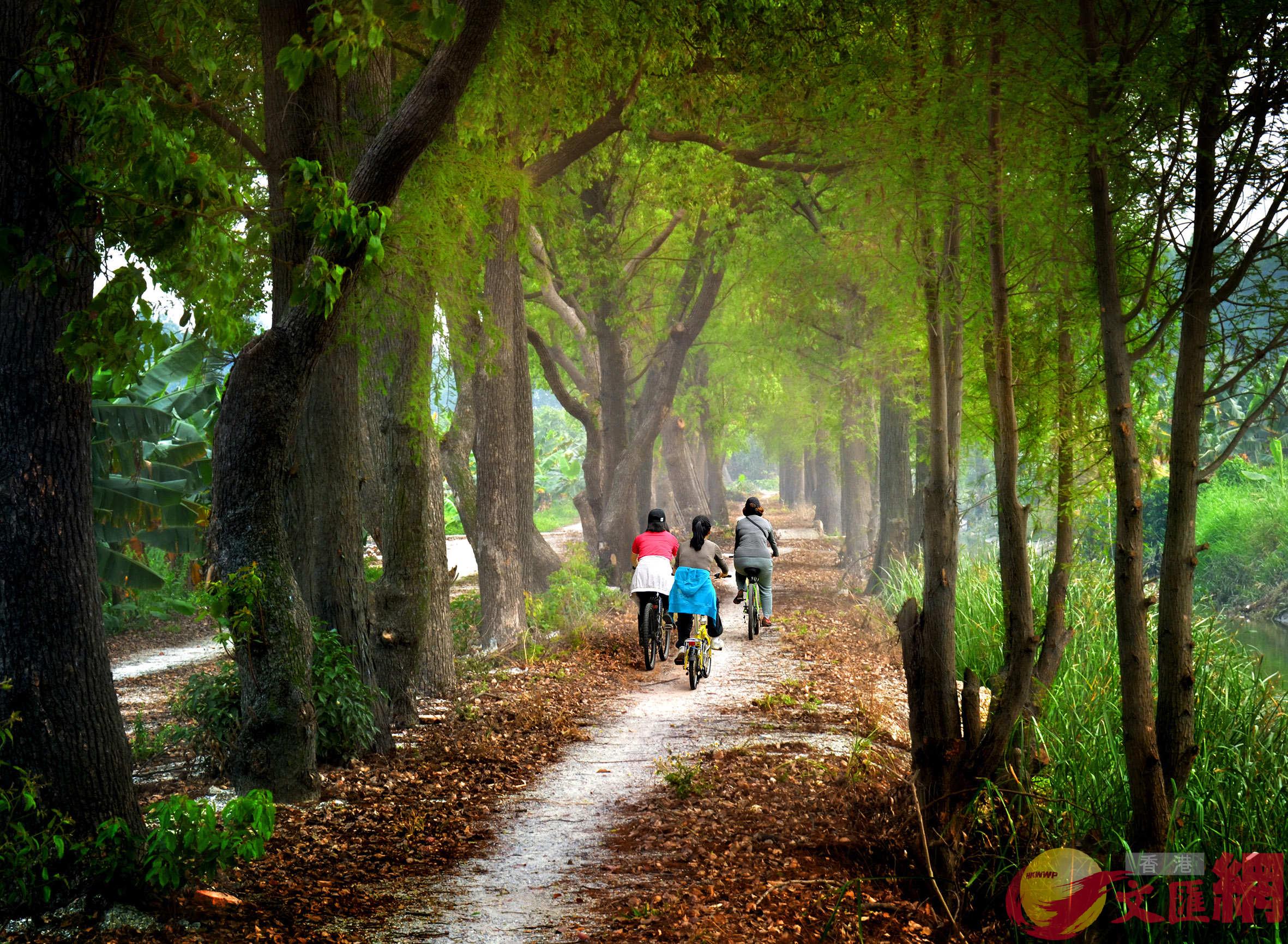 广东到去年底已设立各级森林公园1351处，数量跃居全国第一。