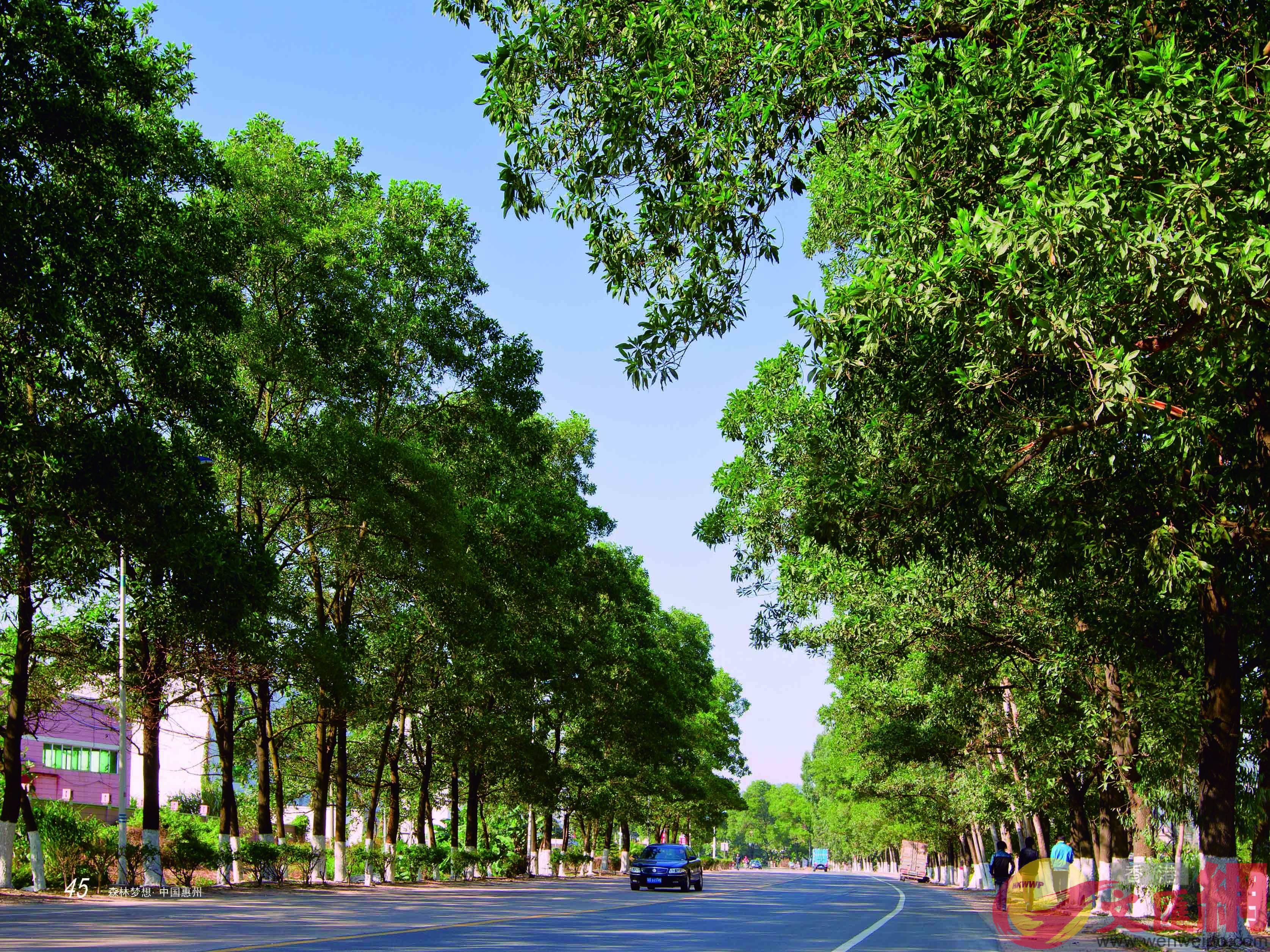 目前广东已有550处城郊森林公园免费开放。