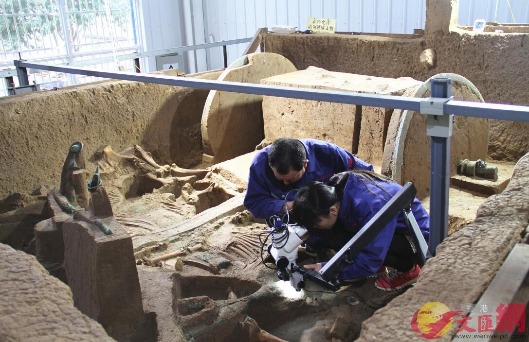 考古工作者正在發掘現場清理車馬坑。（、陝西傳真）