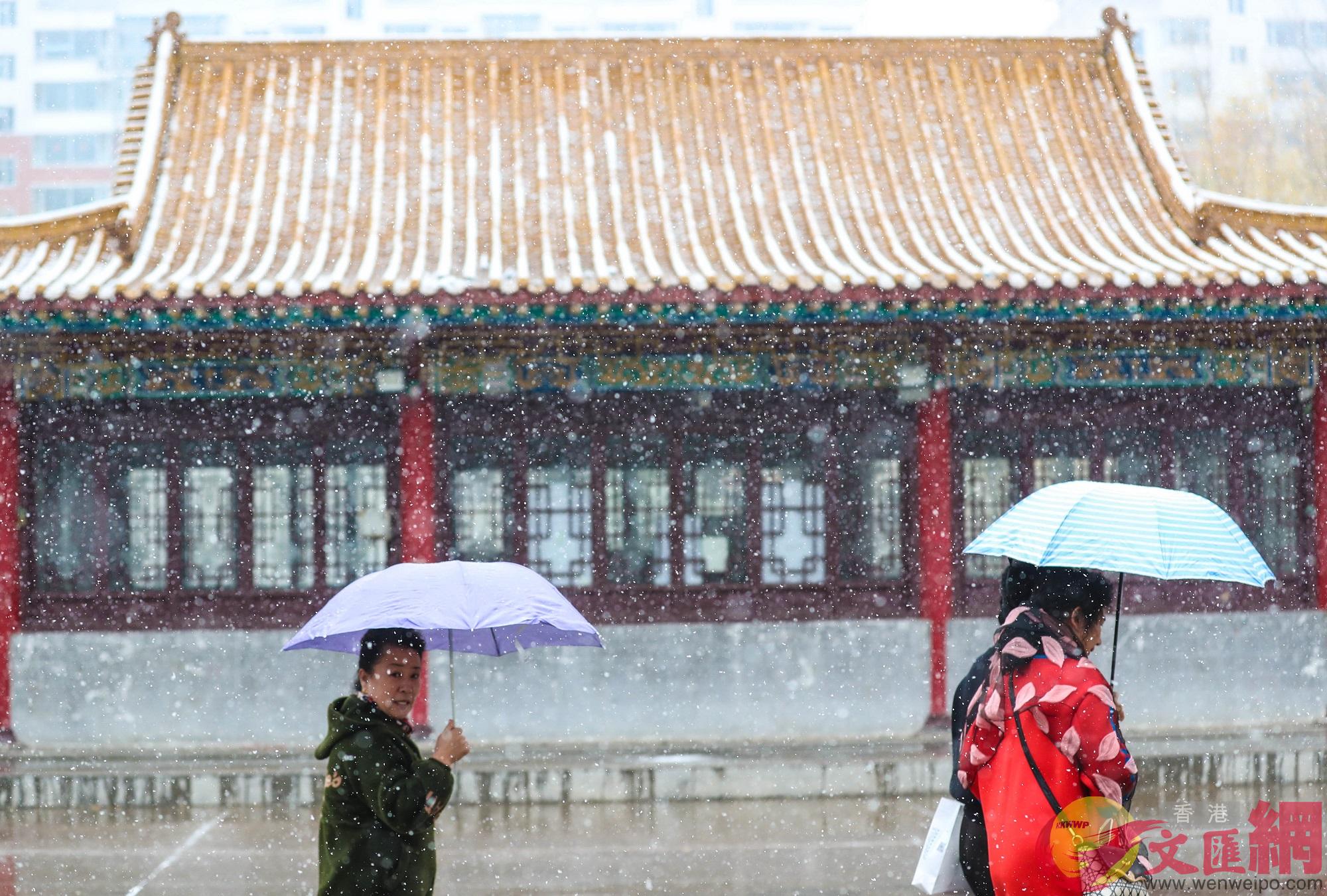 在风雪中，人们三五结伴走上街头，撑起雨伞，既不怕被雪打湿头发，又可以近距离观赏雪中美景。（卢冶 摄）