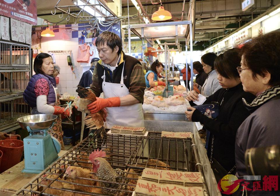 在街市中，活鸡尤其受欢迎 