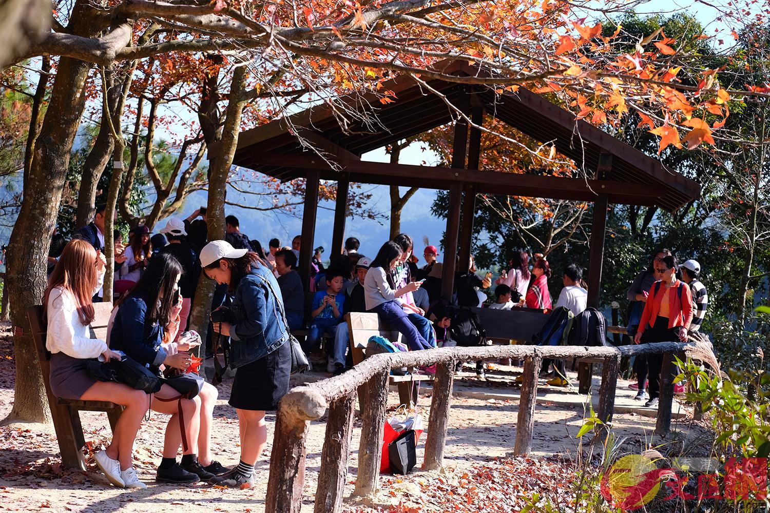 �t�ϰ����w�L���j�Ťs�D�������l�ޤj�奫���[��