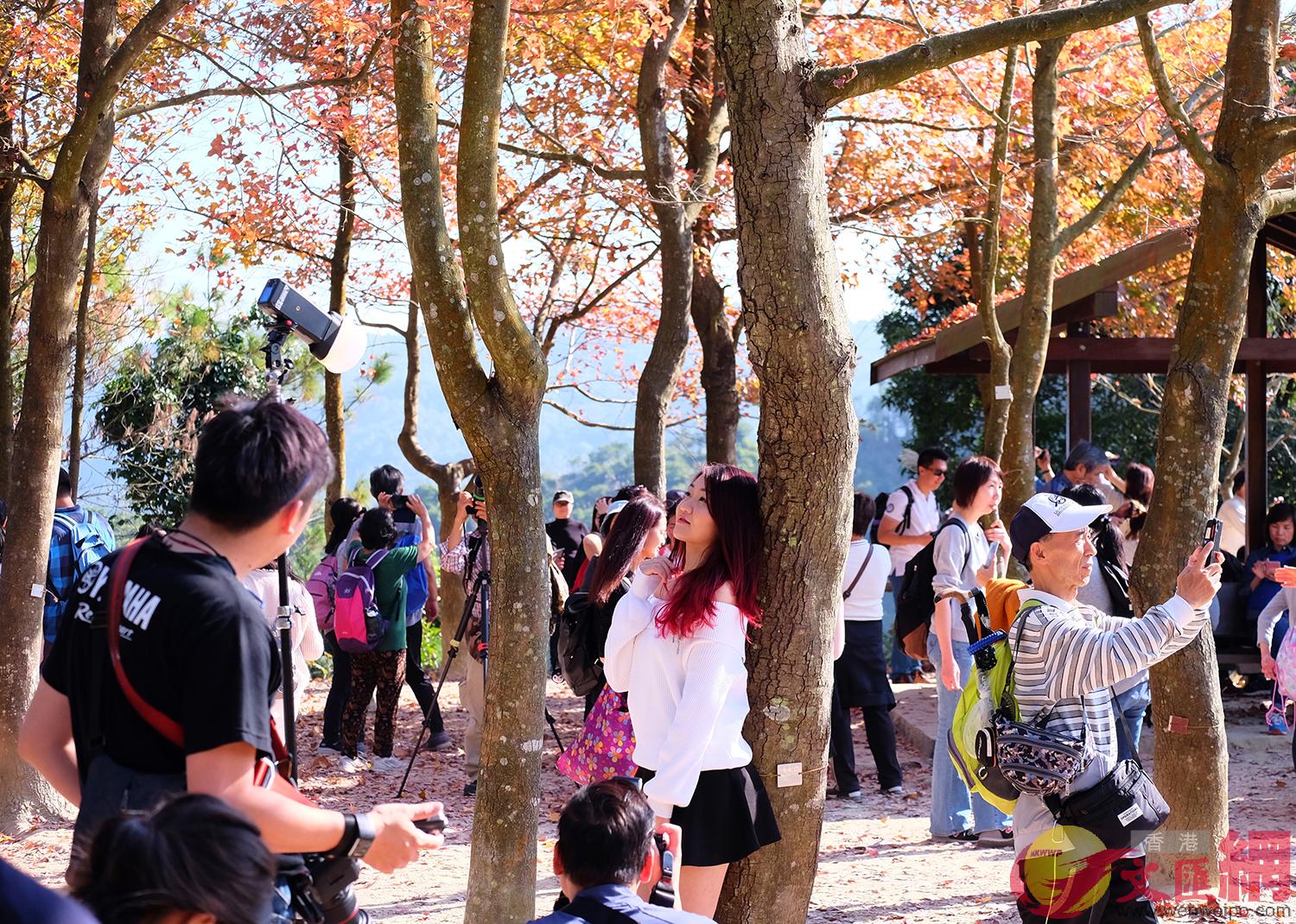 �t�ϰ����w�L���j�Ťs�D�������l�ޤj�奫���[��