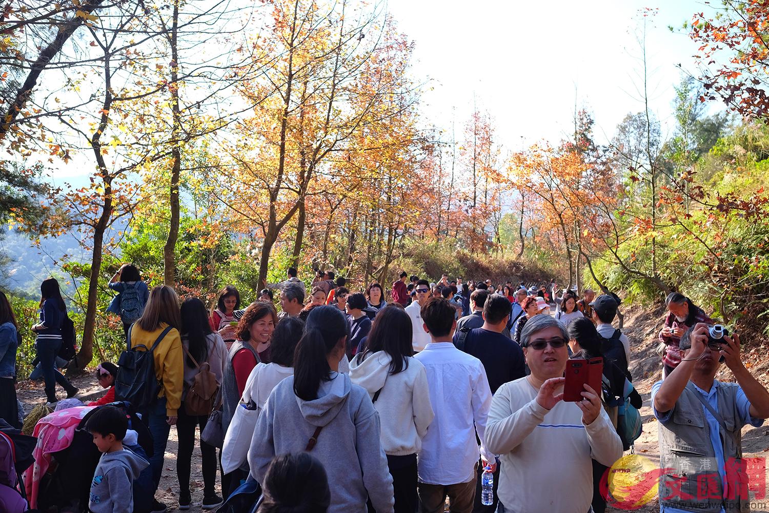 �t�ϰ����w�L���j�Ťs�D�������l�ޤj�奫���[��