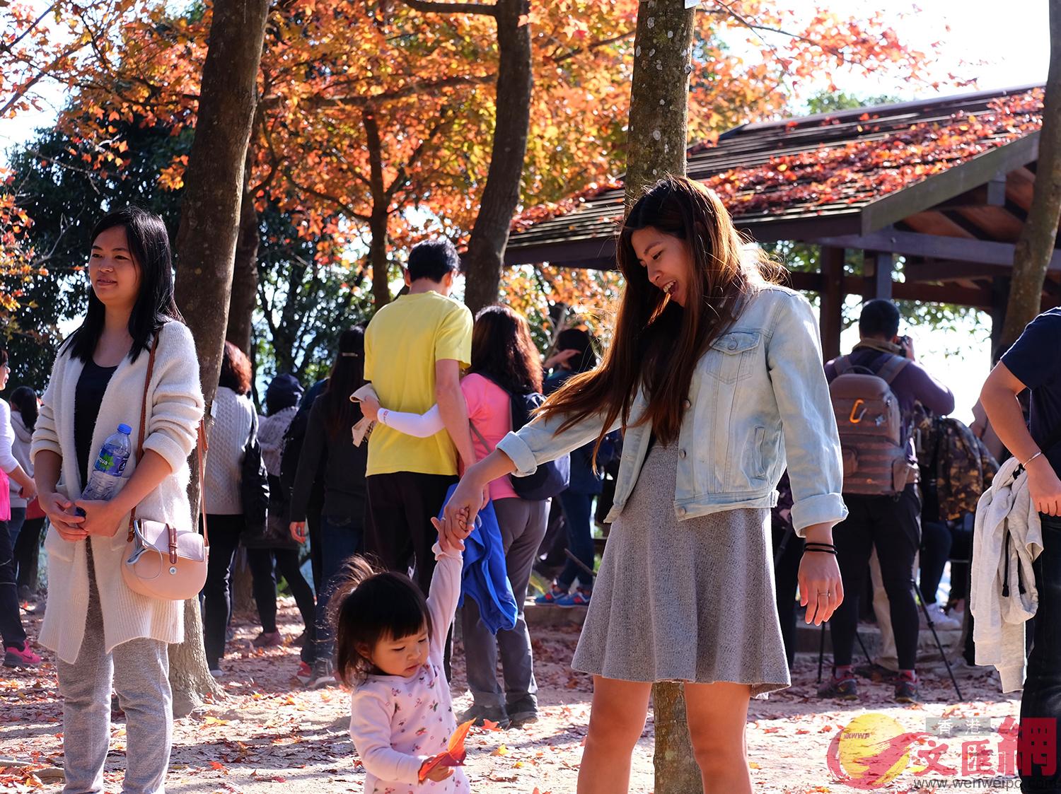 �t�ϰ����w�L���j�Ťs�D�������l�ޤj�奫���[��