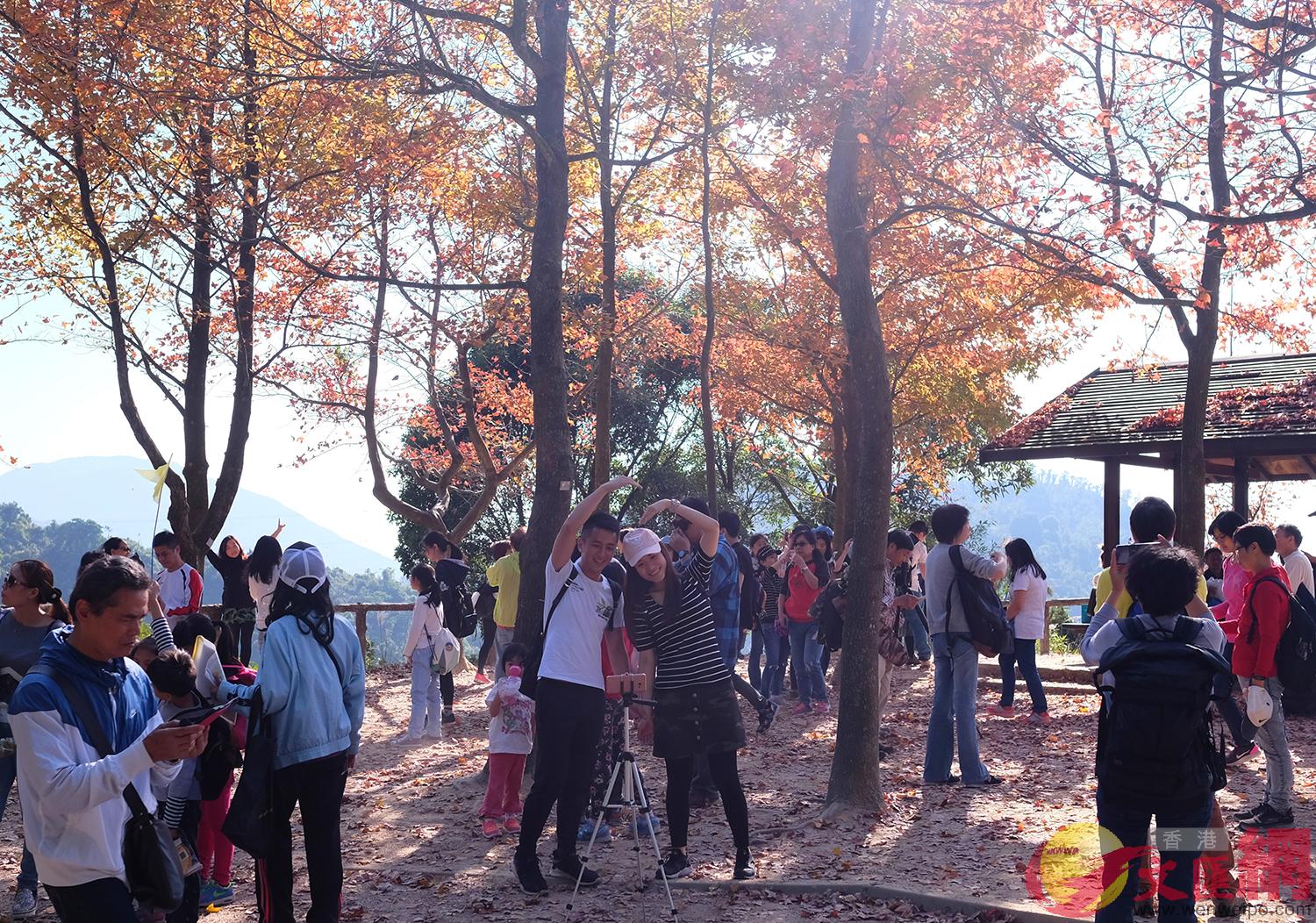 �t�ϰ����w�L���j�Ťs�D�������l�ޤj�奫���[��