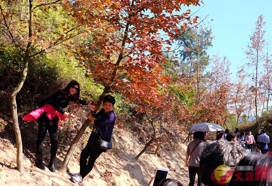 �j�Ťs�D�������s�l�ޥ������