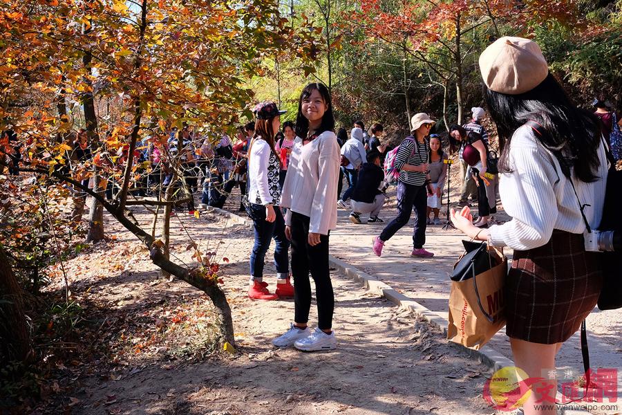 �j�Ťs�D�������s�l�ޥ������