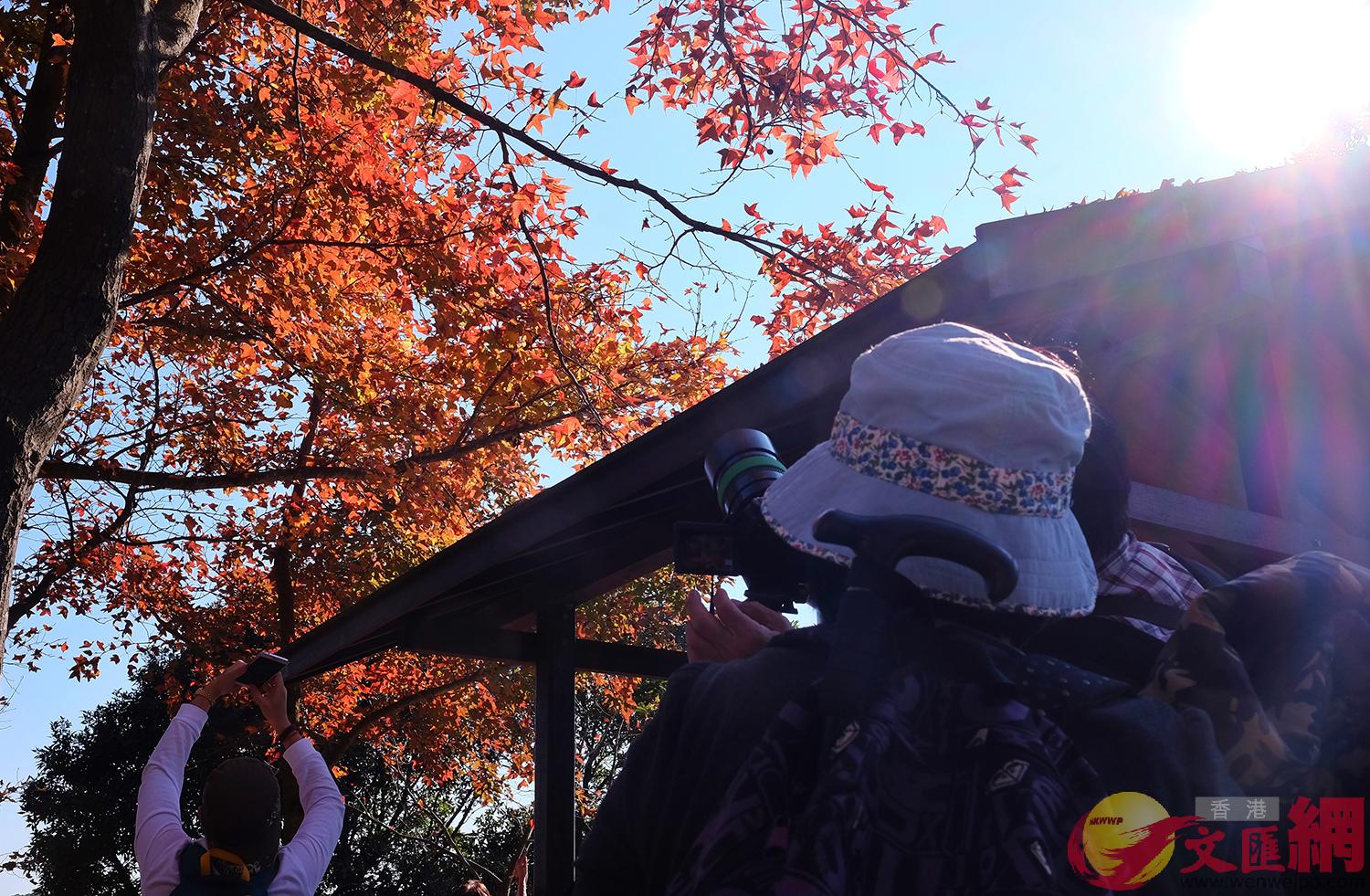 �j�Ťs�D�������s�l�ޥ������