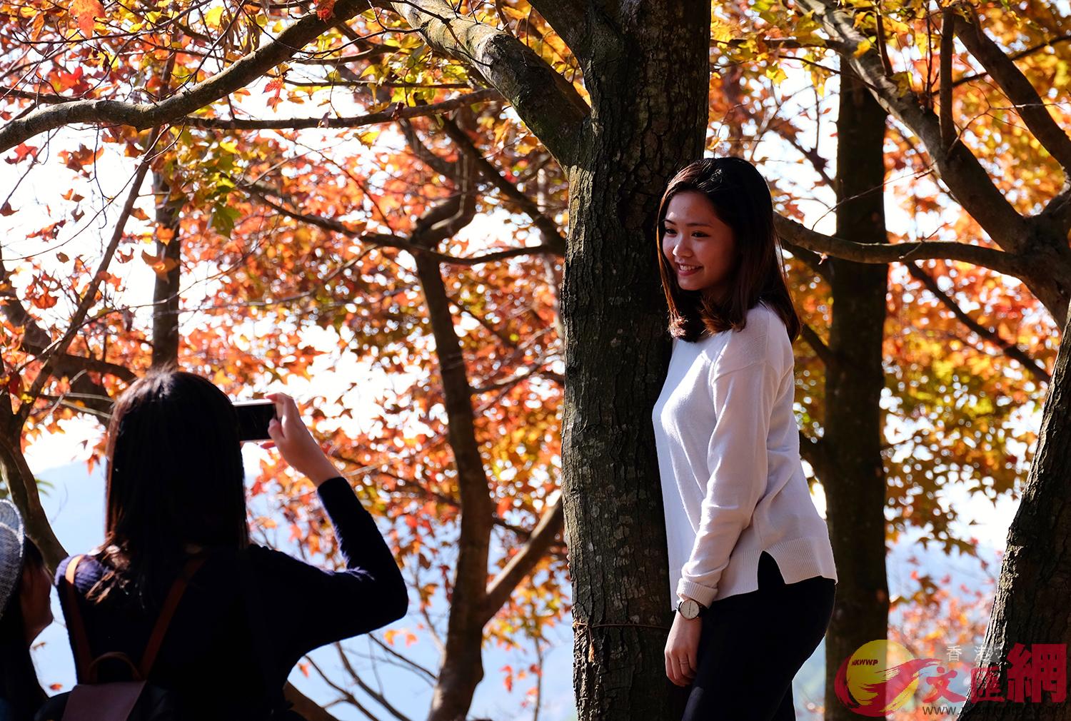 �j�Ťs�D�������s�l�ޥ������