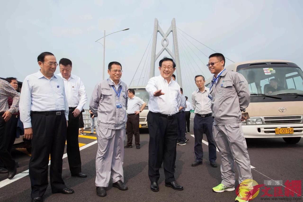 全國政協副主席、中國科學技術協會主席萬鋼（圖前排右二）一行實地考察港珠澳大橋。