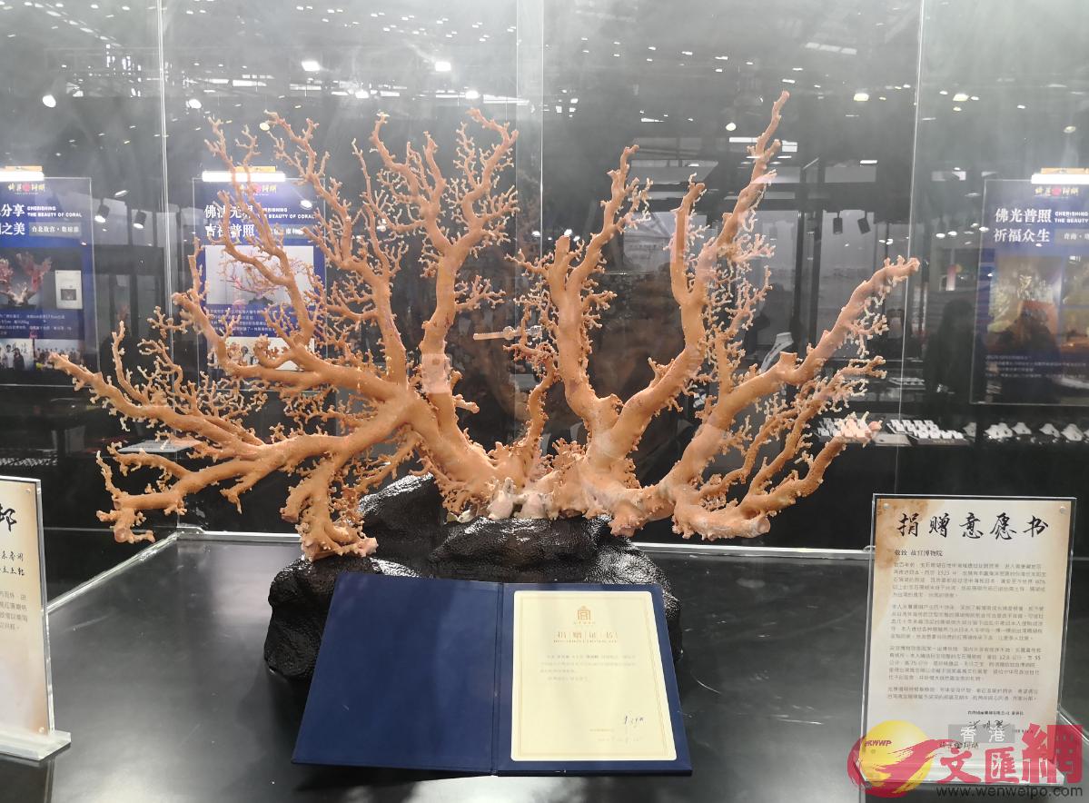 台灣綺麗珊瑚公司更向北京故宮博物院捐贈的紅珊瑚