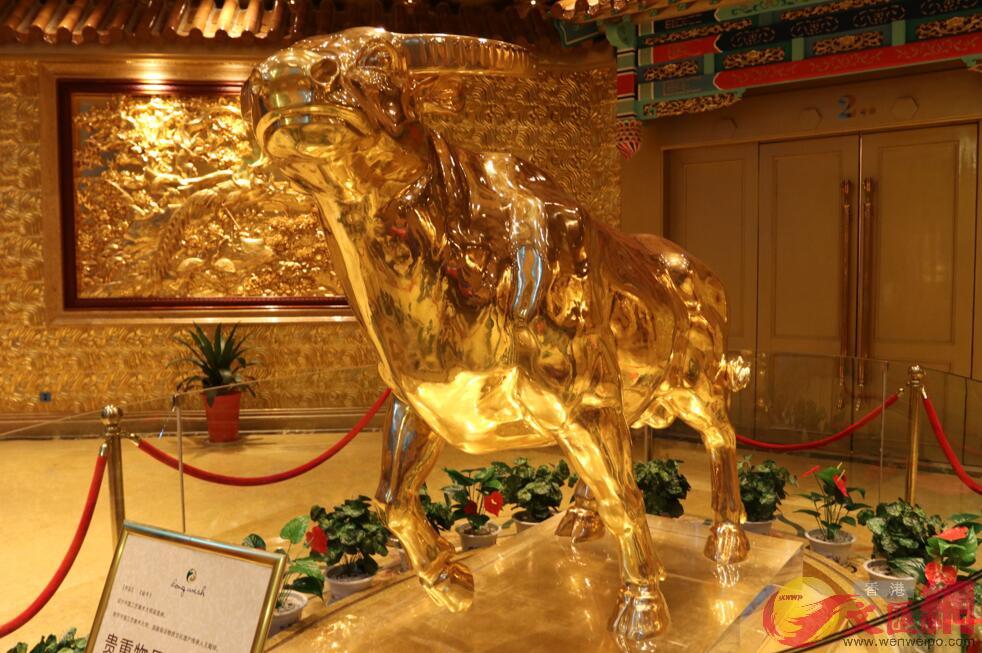 龍希國際大酒店內價值3億人民幣的金牛