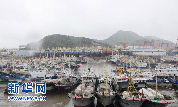 8月12日A大批漁船停靠在浙江省溫嶺市松門鎮礁山碼頭避風C 新華社