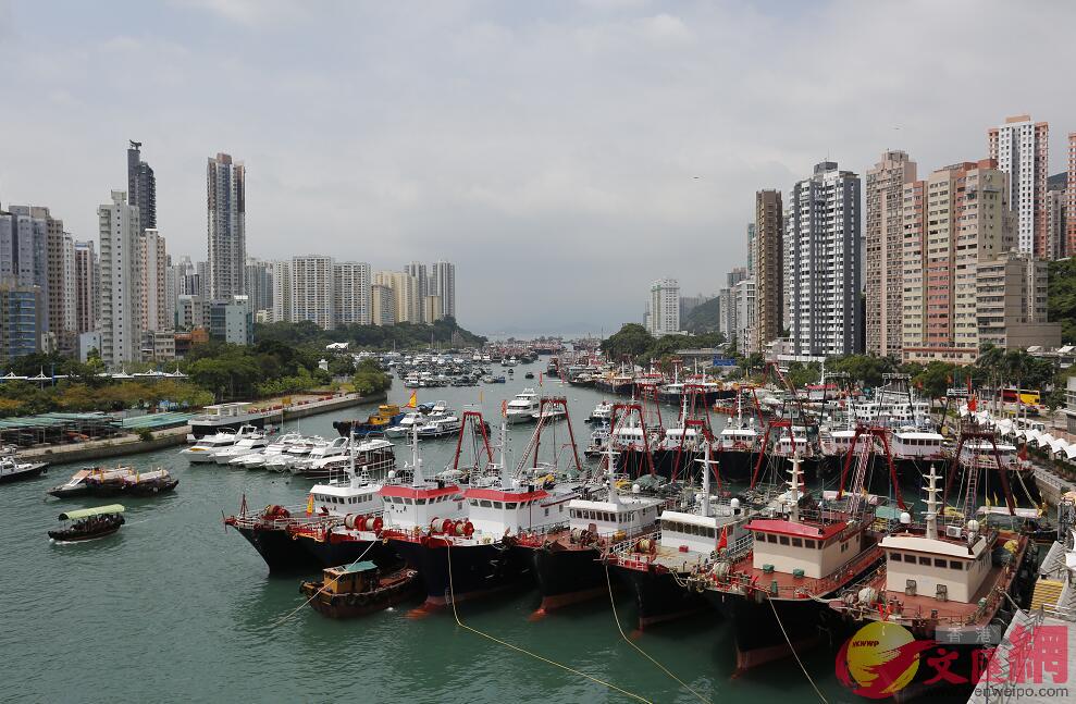 香港仔避風塘停靠大量漁船回港避風(全媒體記者李湃豐攝)