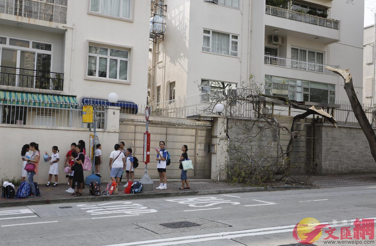 學生和家長正在等候巴士A被颱風吹斷的樹木分離在馬路兩邊