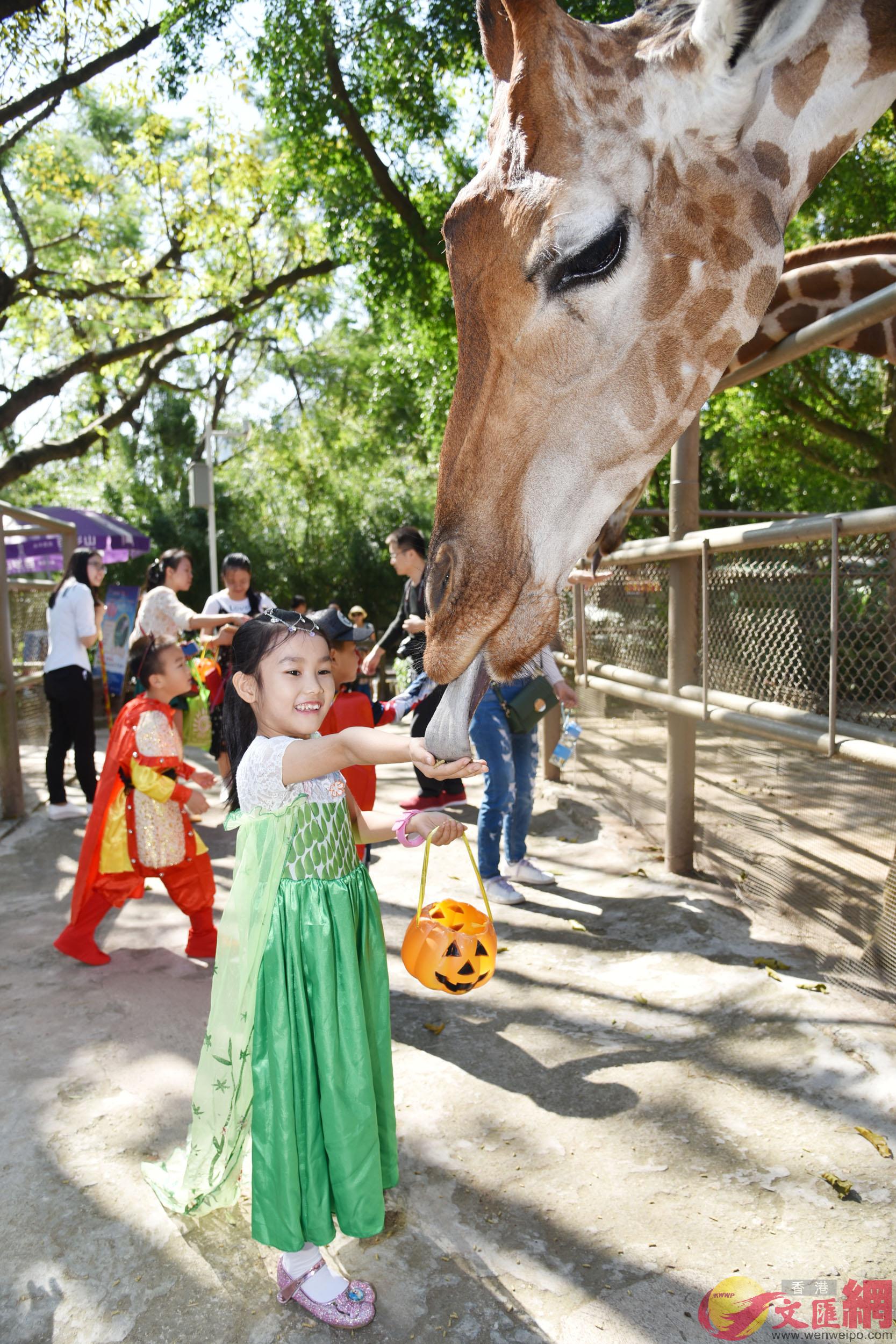 孩子們在深圳野生動物園裡興高采烈給遊客送糖果A與遊客歡樂互動C]郭若溪攝^