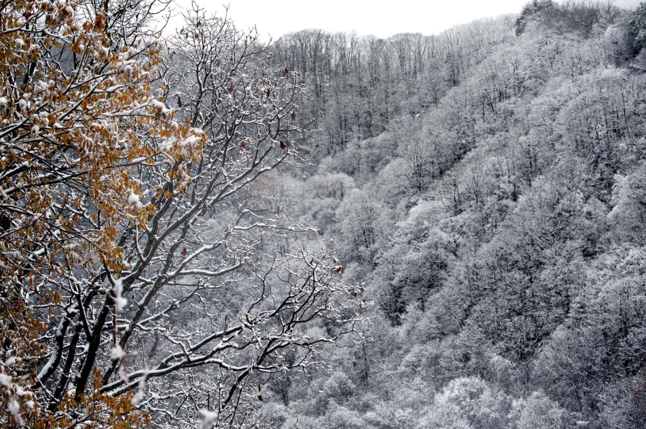 11月5日拍攝的秦嶺梁南天門雪景C 