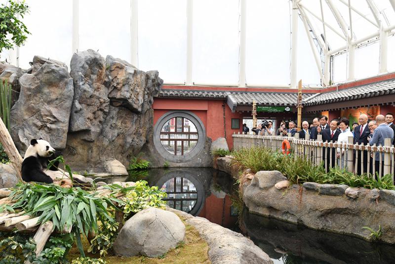 林鄭月娥與彭清華探望海洋公園的大熊貓