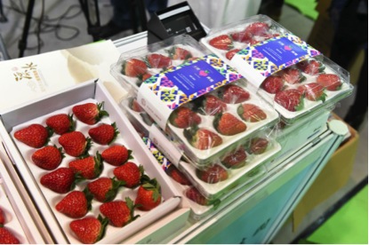 草莓展示 主辦方供圖