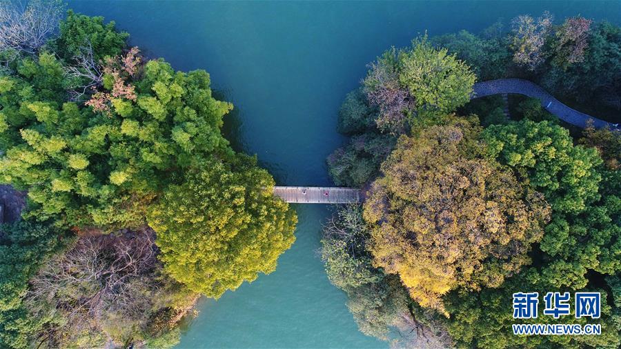 遊客通過湖南烈士公園年嘉湖湖面一座小橋(11月25日無人機拍攝)C新華社