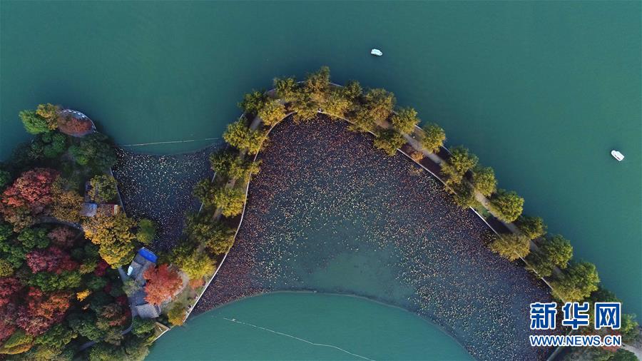 兩隻小船行駛在湖南烈士公園年嘉湖湖面(11月25日無人機拍攝)C新華社