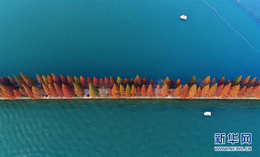兩隻小船行駛在湖南烈士公園年嘉湖湖面(11月25日無人機拍攝)C新華社