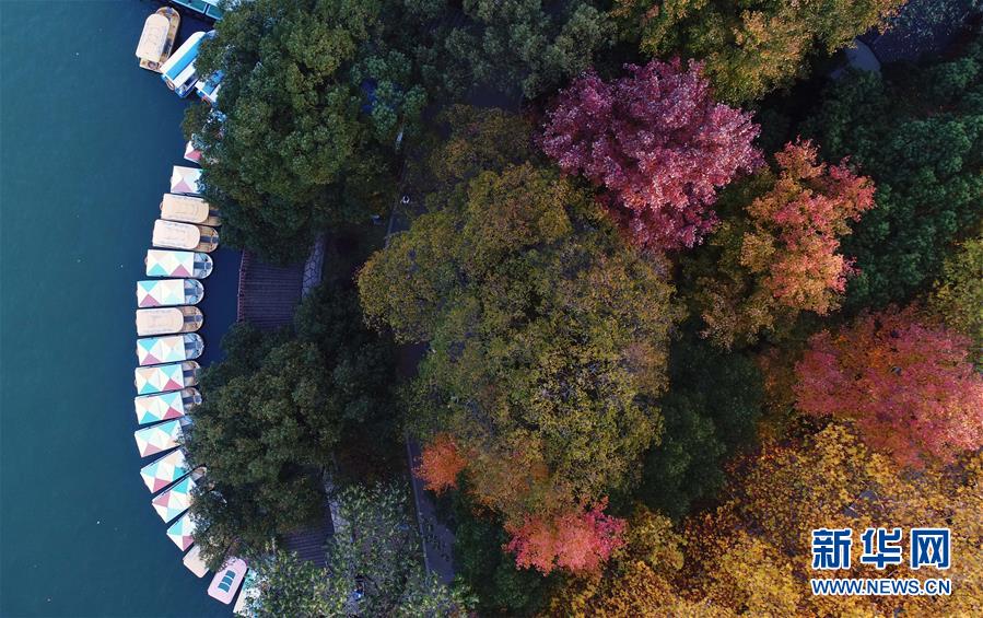一排遊船停泊在湖南烈士公園年嘉湖湖畔(11月25日無人機拍攝)C新華社