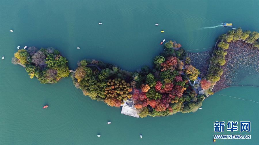 這是11月25日無人機拍攝的湖南烈士公園年嘉湖C新華社