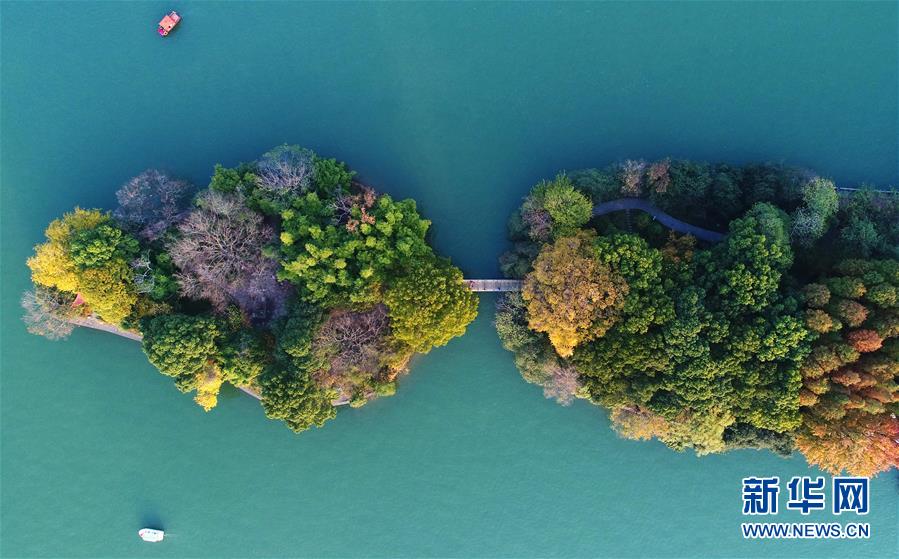 兩隻小船行駛在湖南烈士公園年嘉湖湖面(11月25日無人機拍攝)C 新華社