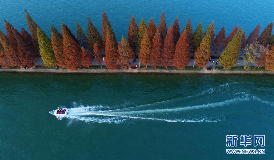一艘遊艇在湖南烈士公園年嘉湖湖面行駛(11月25日無人機拍攝)C新華社