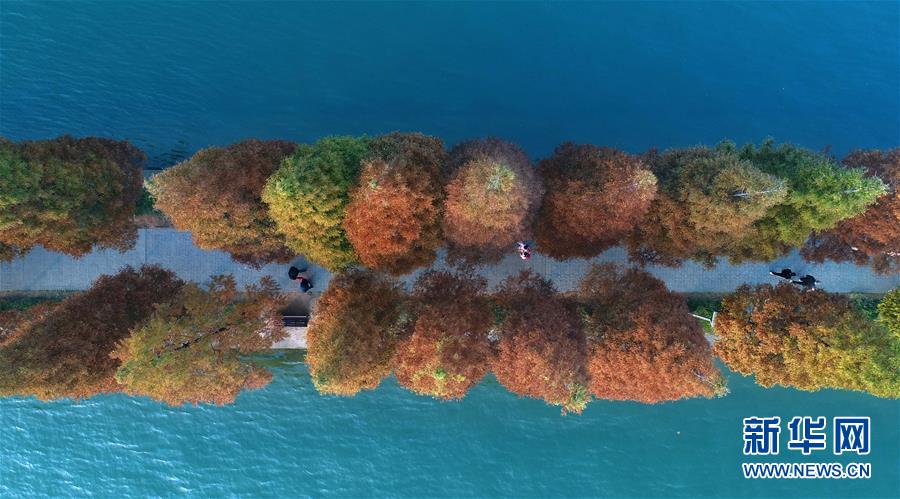 遊客行走在湖南烈士公園年嘉湖的游道上(11月25日無人機拍攝)C新華社
