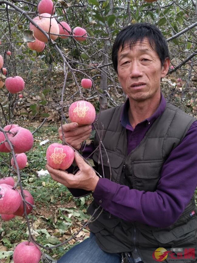 農民技師楊雙奎(圖)的定單蘋果增值近三成C