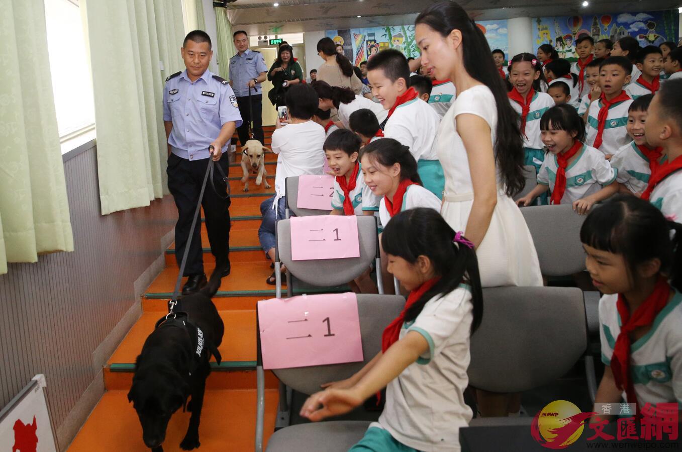 禁毒部門以多種形式對青少年進行禁毒宣傳C圖為緝毒犬進校園活動C敖敏輝攝