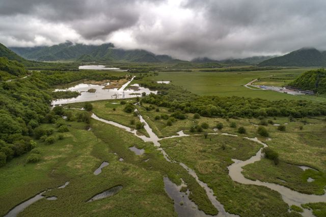 5月18日無人機拍攝的湖北神農架大九湖高山濕地風光C新華社