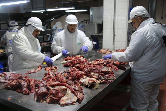 在阿根廷休斯A牛肉加工廠工人在分割牛肉(6月12日攝)C這家工廠是中國企業新大洲的戰略合作夥伴A每天屠宰500至700頭牛A牛肉主要出口到中國C新華社