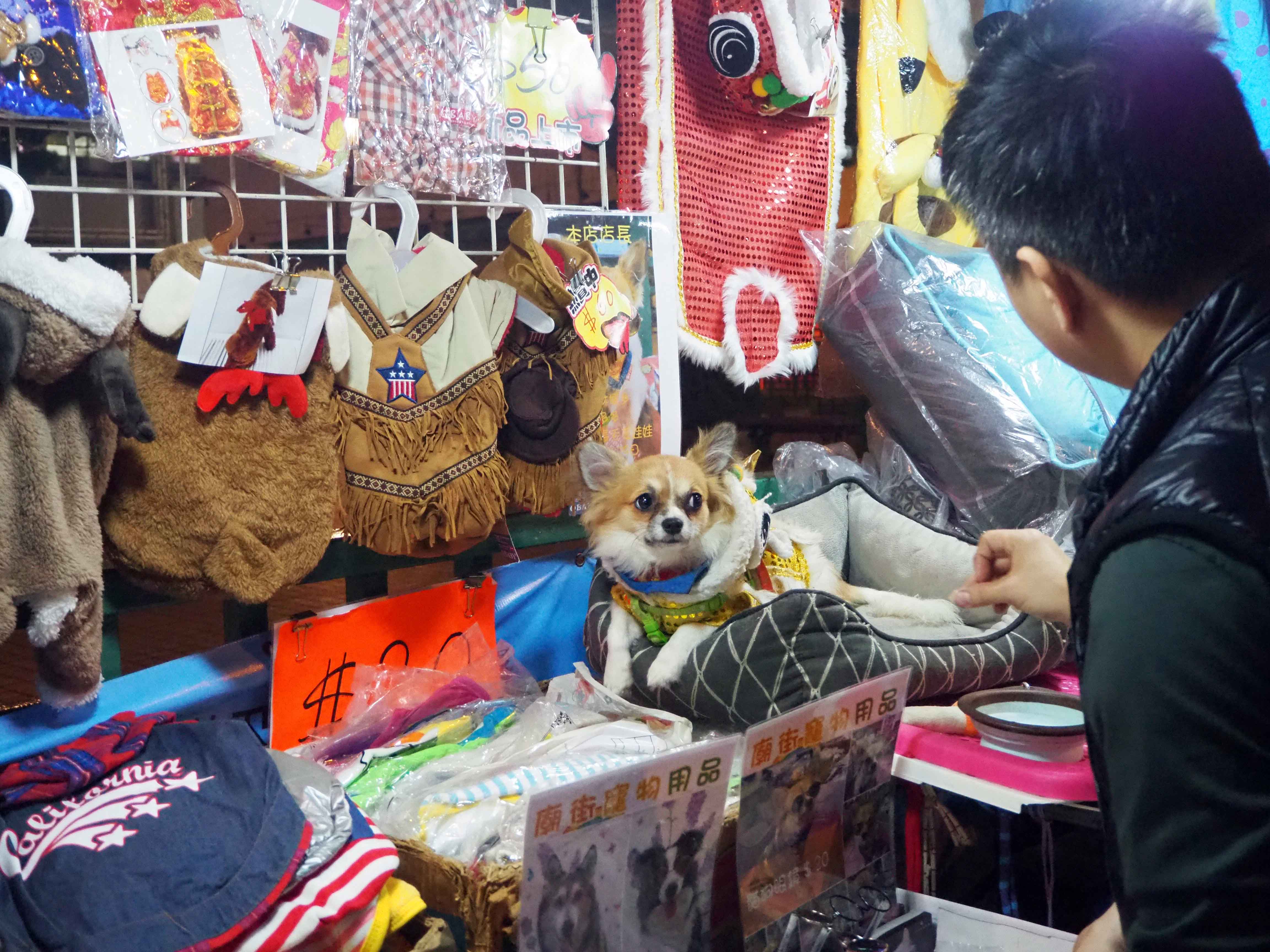 圖為12月27日�A華燈初上的旺角街頭�C