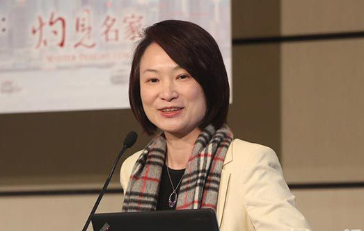 李慧琼指外聘律師意見並非一定最具權威性(大公報資料圖)