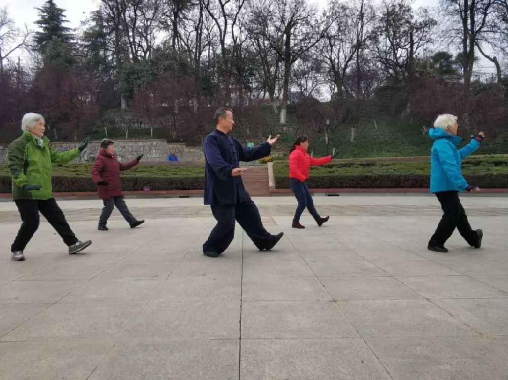 合肥A老人們在公園裡打太極拳C新華網