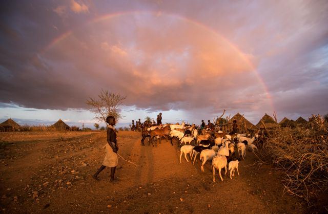2018年10月25日A在埃塞俄比亞南方州的哈莫族村子A一名哈莫族人在趕羊群C 新華社記者呂帥攝