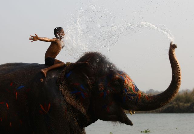 2018年12月27日A在尼泊爾奇特旺A一名兒童在大象節上和大象戲水C新華社發(蘇尼爾P夏爾馬攝)