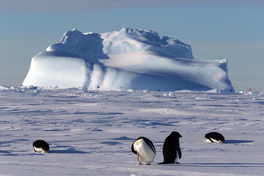 全球變暖加劇，南極融冰量達40年前6倍以上(新華社)
