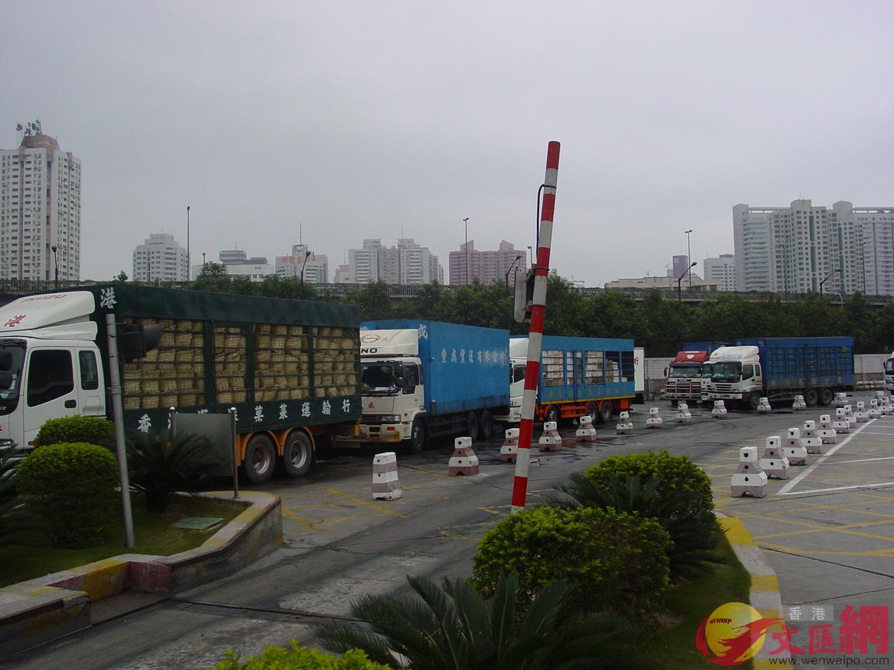 1月以來A從文錦渡口岸通關的供港年貨商品達到2.81萬噸 記者何花攝