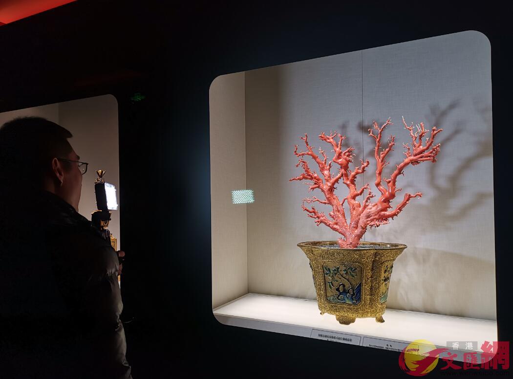 珍寶館改陳後展出故宮最大的珊瑚盆景C 江鑫嫻 攝