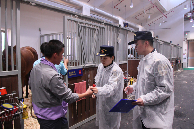 廣州海關與香港漁護署首次聯合開展香港馬會馬匹疫病監測 受訪者供圖