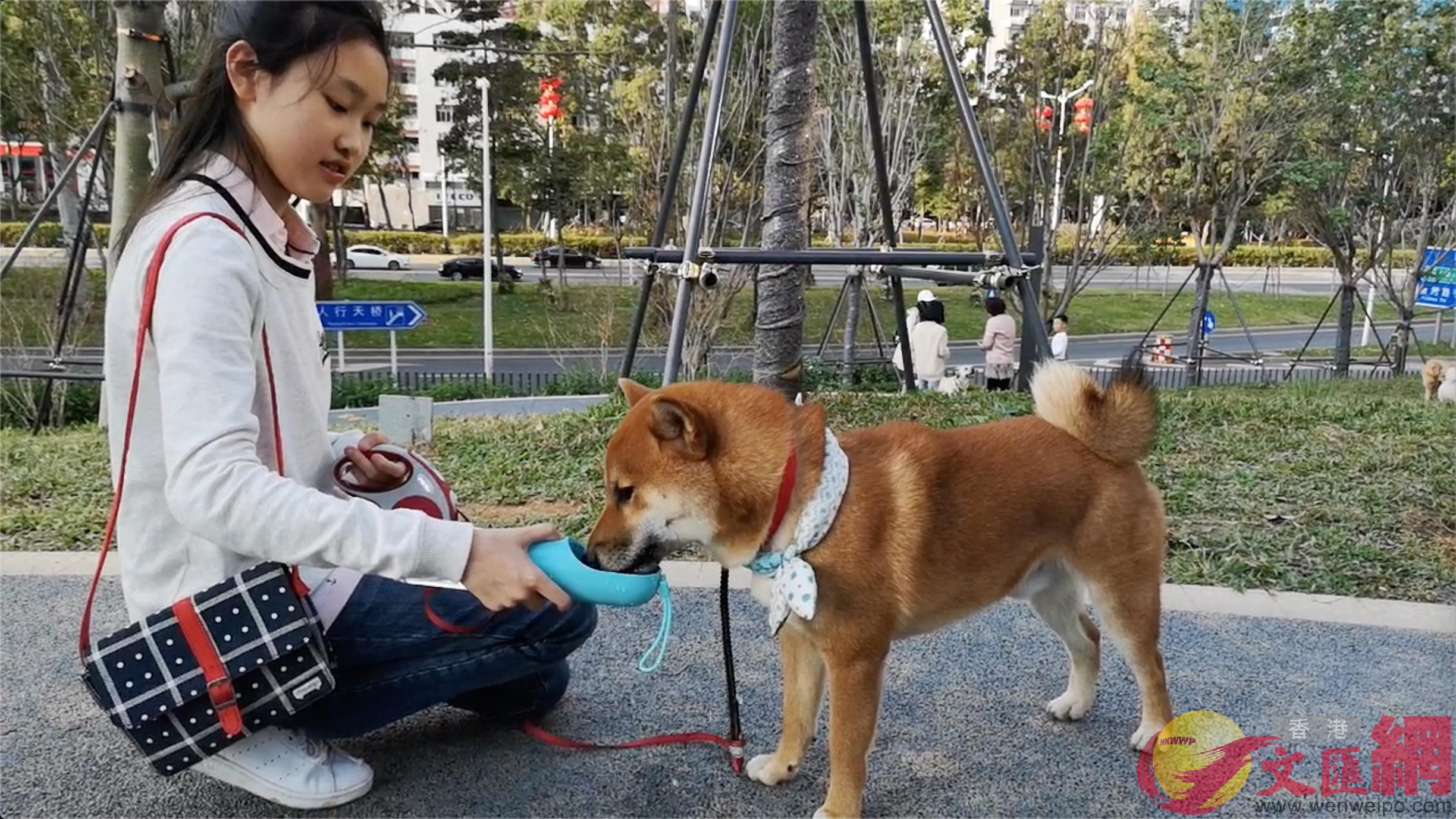 寵物主人與寵物在公園內互動C]實習記者 胡永愛攝^