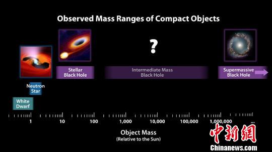 緻密天體根據質量的分類(圖片來源GNASA) 