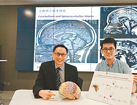 香港中文大學成立治療帕金森綜合症研究中心研究腦病變]大公報資料圖^