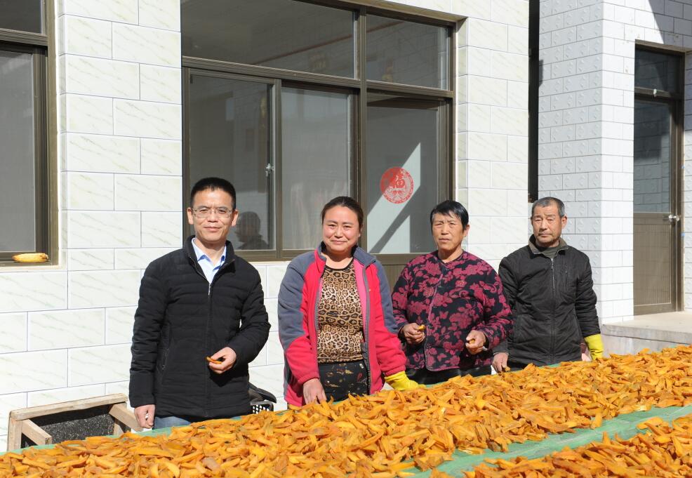 高綠(左一)幫助村民發展紅薯加工產業A年增值上百萬元C