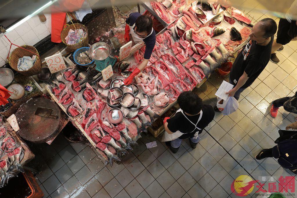 香港擬規定殺魚前須先電暈A魚販表示怕觸電C圖為香港魚檔]全媒體記者麥鈞傑攝^
